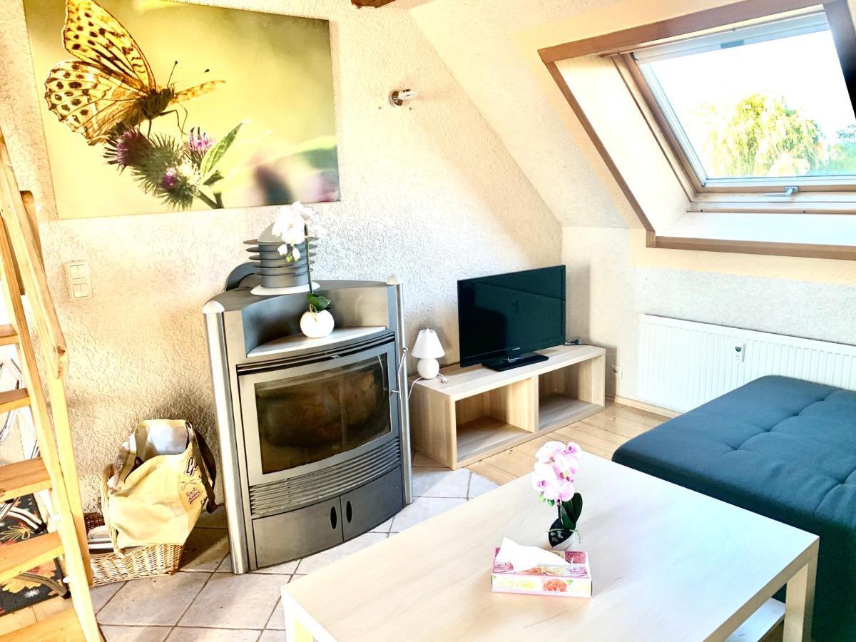 #World Ferienwohnung Schkeuditz Eksteriør bilde